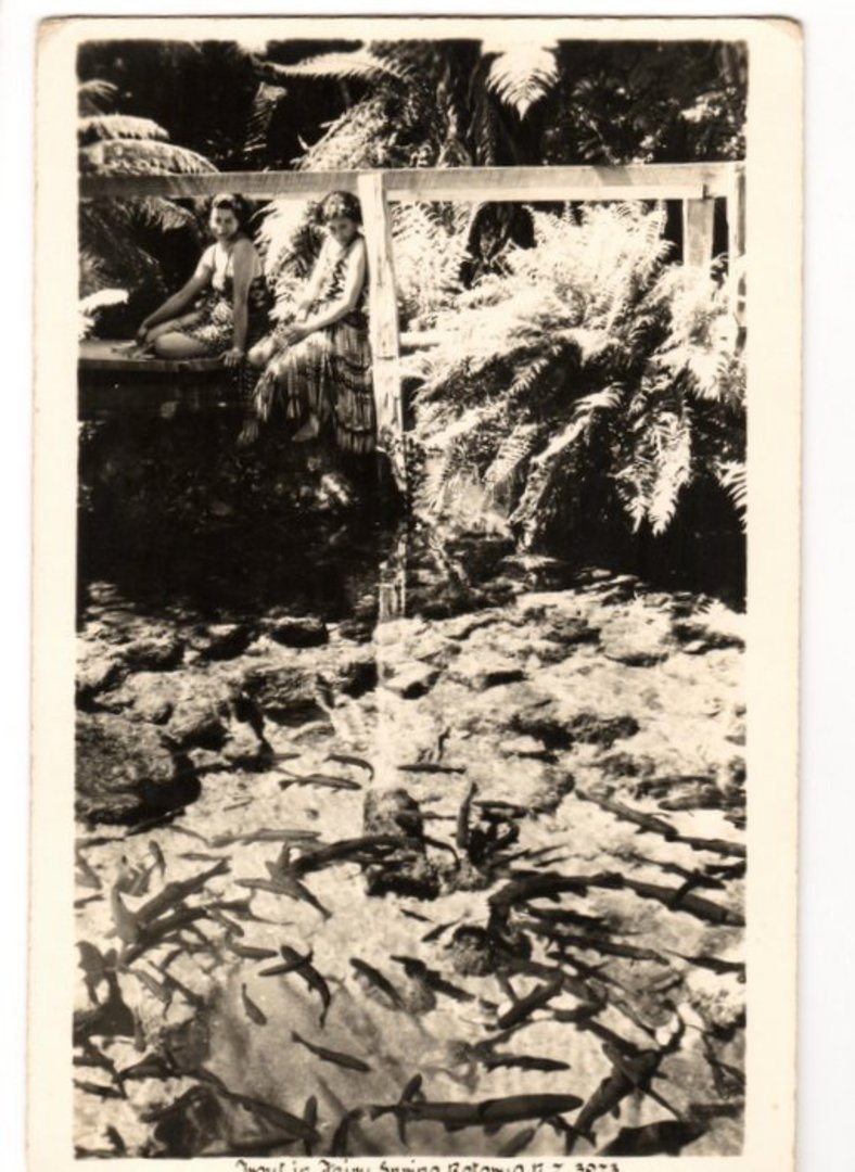 Real Photograph by A B Hurst & Son of Trout in Fairy Springs Rotorua. - 46190 - Postcard image 0