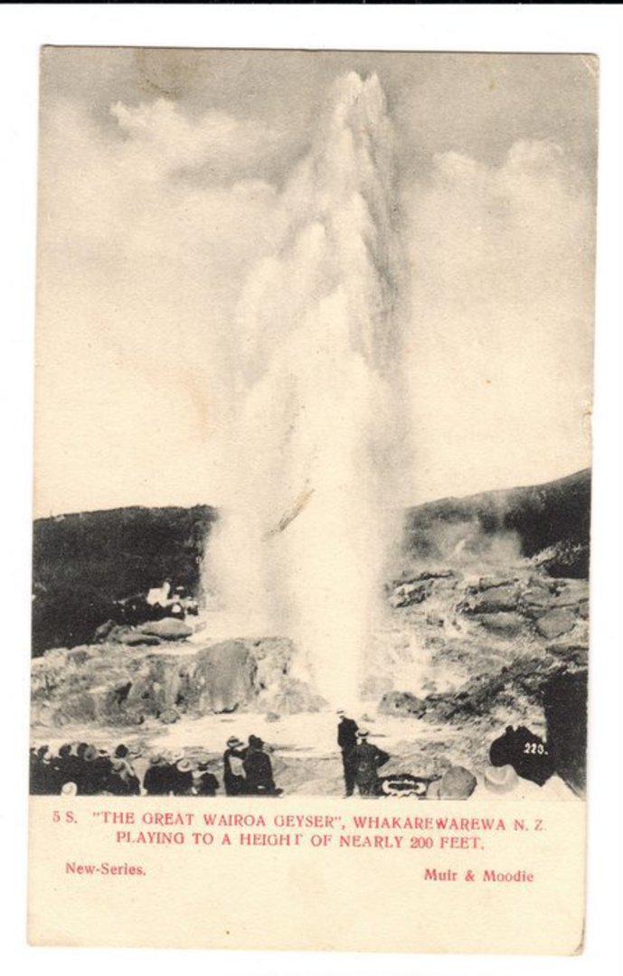Postcard by Muir & Moodie of The Great Wairoa Geyser Whakarewarewa. - 246067 - Postcard image 0