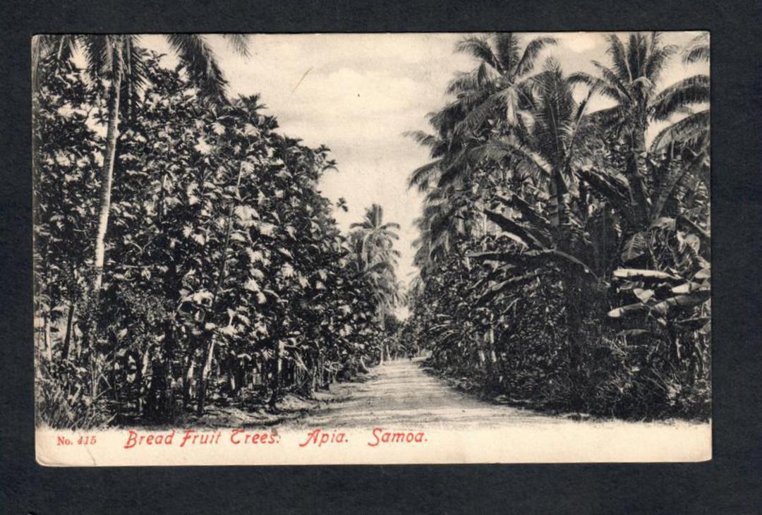SAMOA Postcard of Bread Fruit Trees Apia Samoa. - 243840 - Postcard image 0