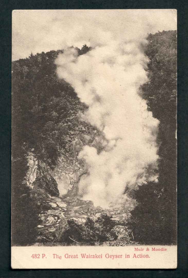 Early Undivided Postcard by Muir & Moodie of The Great Wairakei Geyser in action. - 46778 - Postcard image 0