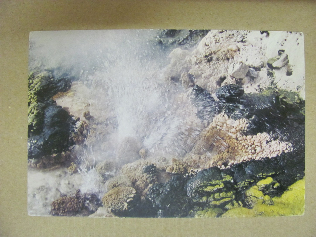 Modern Coloured Postcard by Gladys Goodall of Waimangu Thermal Reserve. - 444261 - Postcard image 0