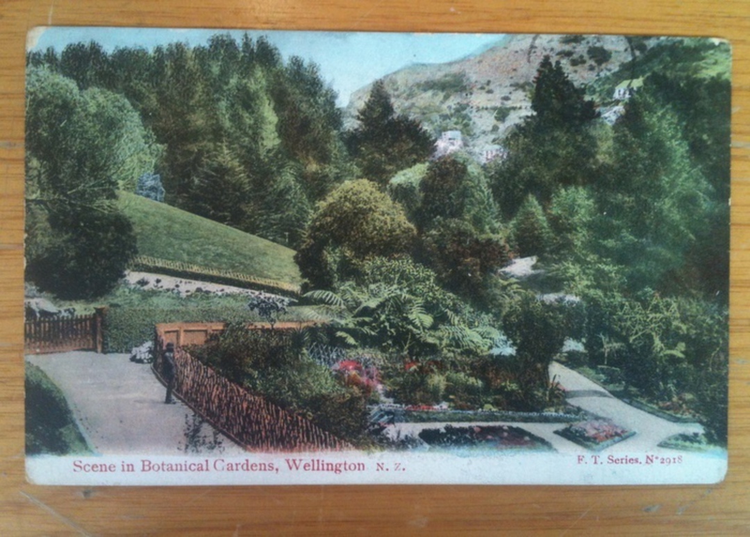 Coloured postcard of a Scene in the Botanical Gardens Wellington. - 47338 - Postcard image 0