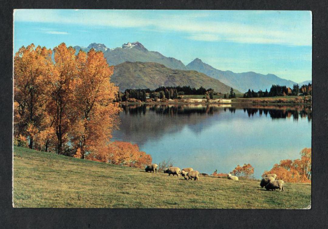 Modern Coloured Postcard by Gladys Goodall of Lake Hayes Queenstown. - 444418 - Postcard image 0