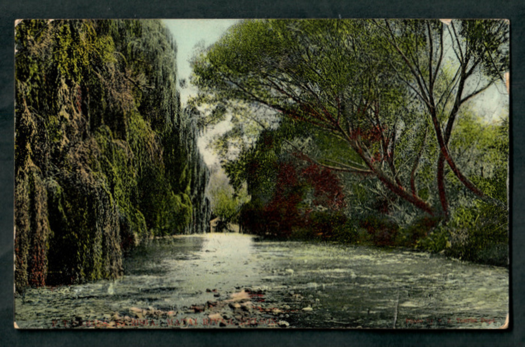 Coloured postcard of River Avon. - 48502 - Postcard image 0