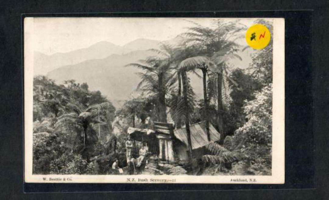 Bush Scenery.  A loggers hut ???? Postcard. - 249757 - Postcard image 0