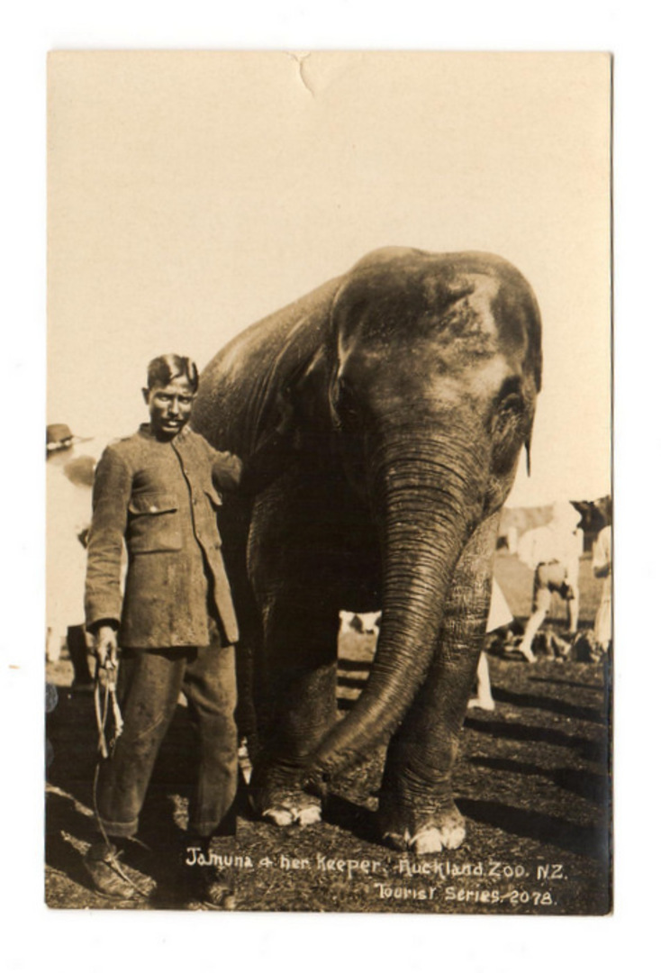 Real Photograph of Jamuna and her keeper Auckland Zoo. - 37994 - Postcard image 0