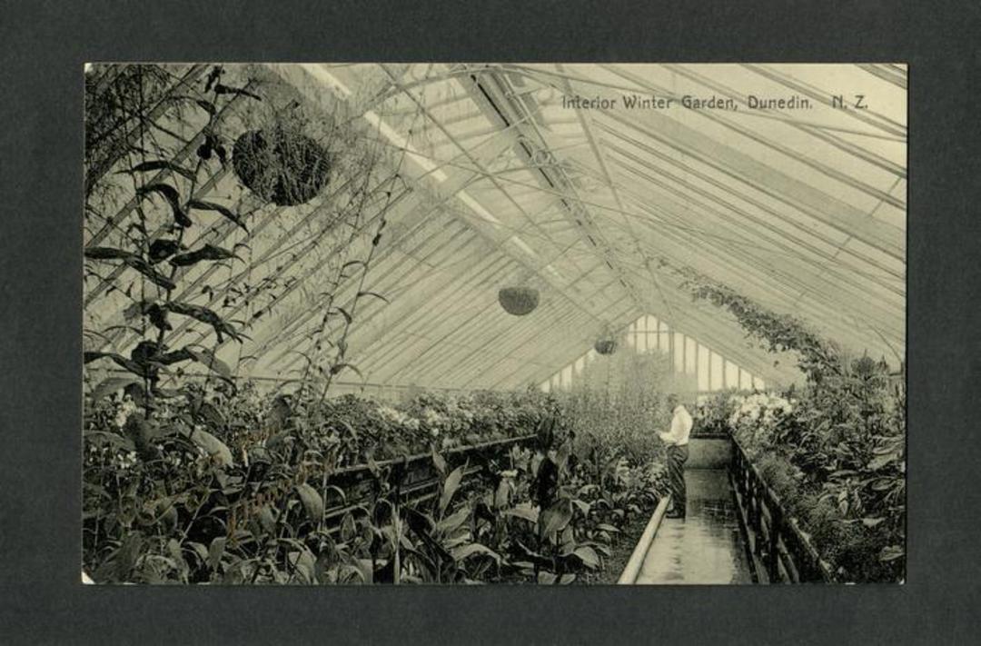 Postcard of Interior Winter Garden Dunedin. - 49289 - Postcard image 0