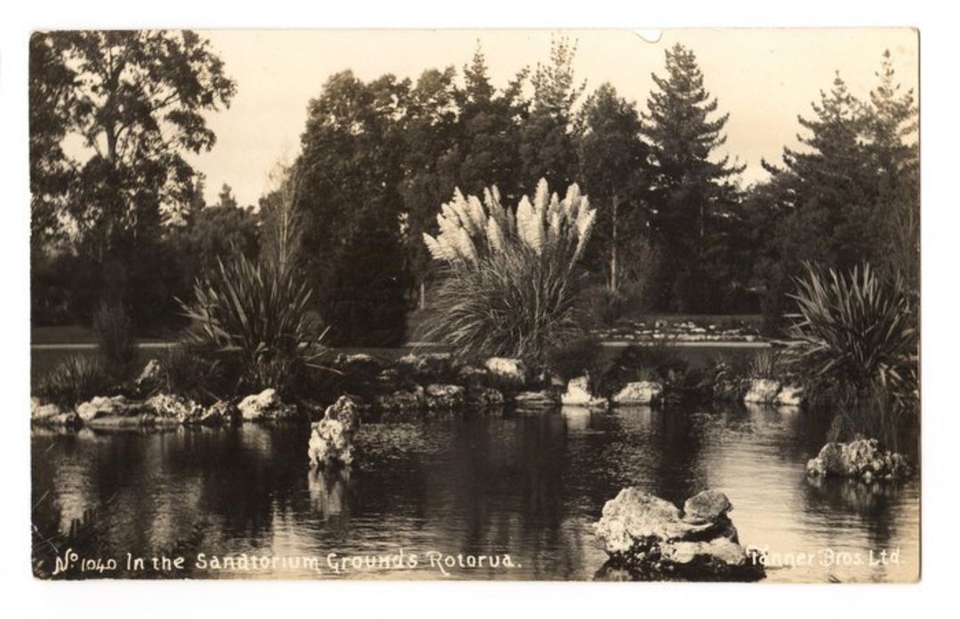 Real Photograph published by Tanner. In the Sanatorium Grounds Rotorua. - 246045 - Postcard image 0