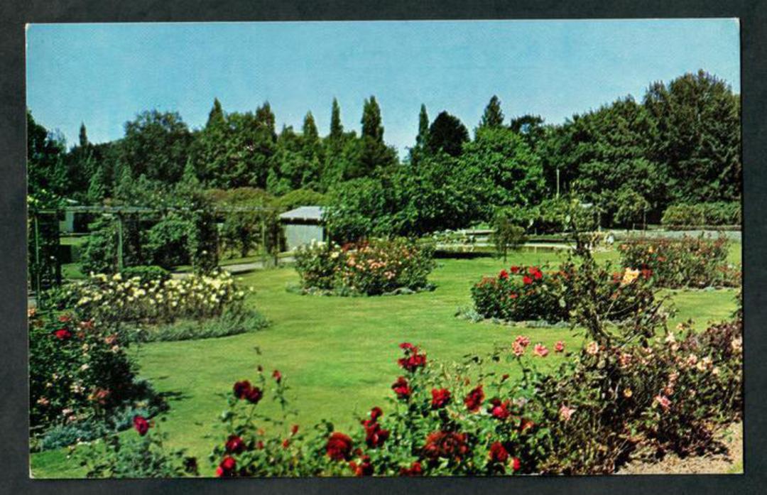 Coloured postcard of Rose Gardens Victoria Park Waimate. - 49513 - Postcard image 0