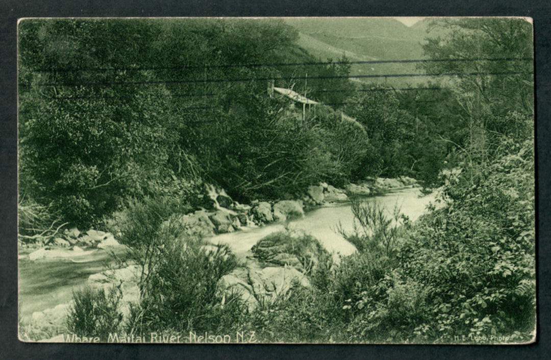 Postcard of Whare on the Maitai River Nelson. - 48671 - Postcard image 0