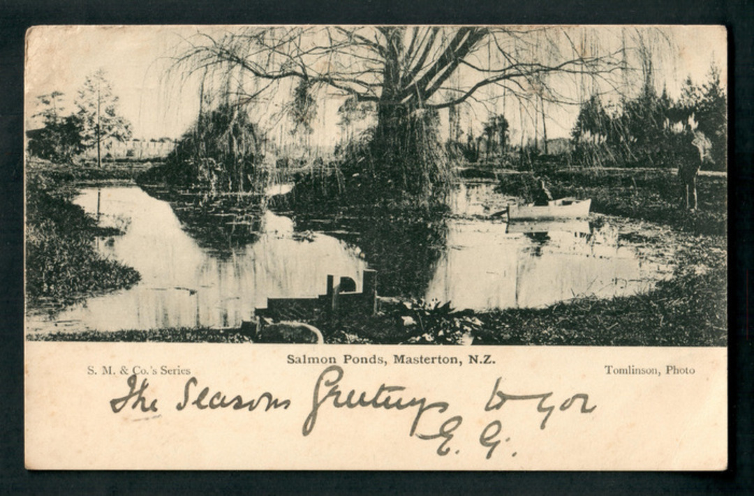 Early Undivided Postcard of Salmon Ponds Masterton. - 47870 - Postcard image 0