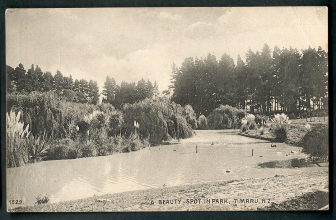 Postcard of a Beauty Spot in the Park Timaru. - 48561 - Postcard image 0