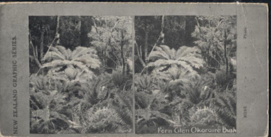 Stereo card New Zealand Graphic series of Fern Glen Okoroire Bush. - 140913 - Postcard image 0