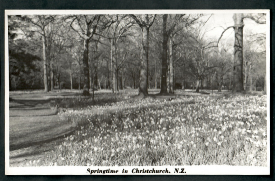 Real Photograph by N S Seaward of Springtime in Christchurch - 48521 - Postcard image 0