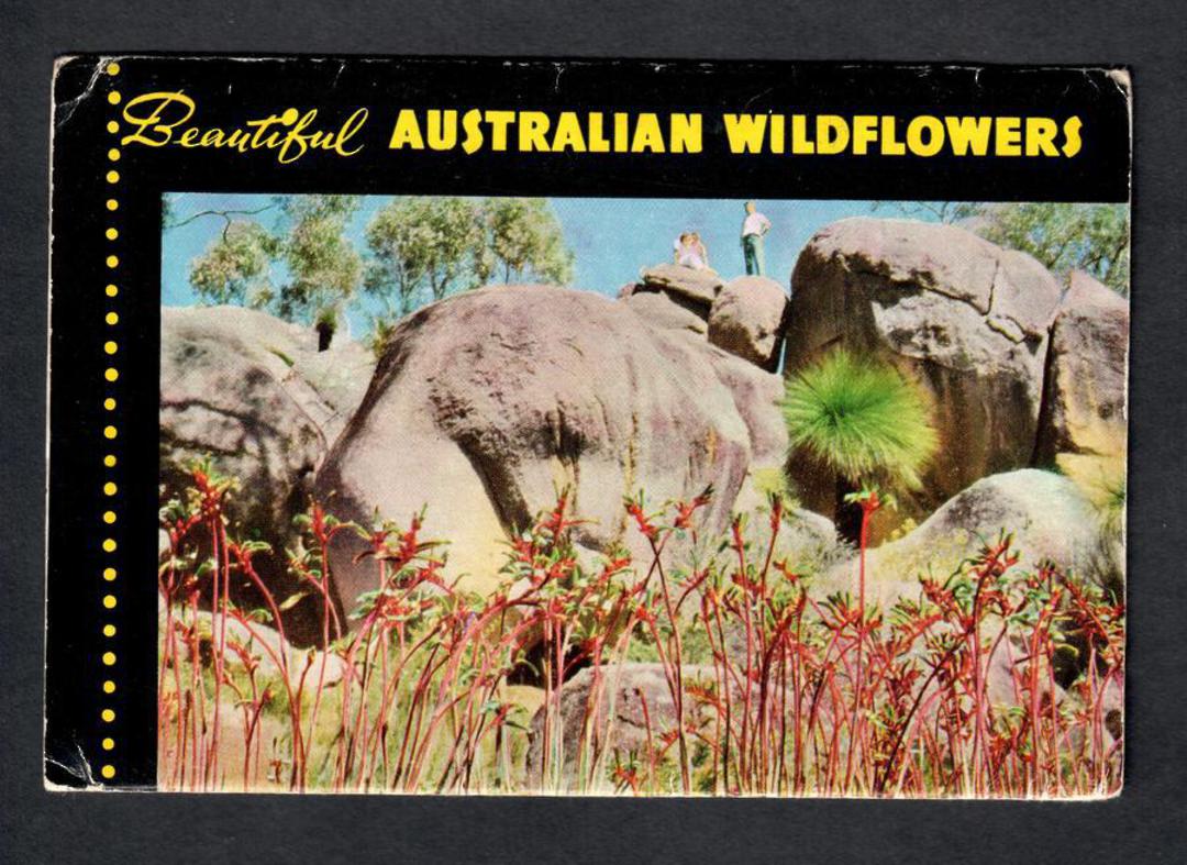 AUSTRALIA Lettercard Beautiful Australia Wildflowers. - 444687 - PostalHist image 0