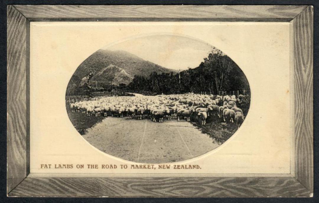 FAT LAMBS on the road to maket New Zealand 1910 Real Photograph - 41448 - Postcard image 0