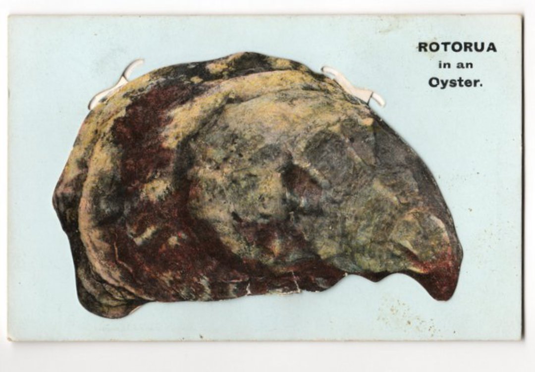 Pocket Novelty Card Rotorua. - 46233 - Postcard image 0