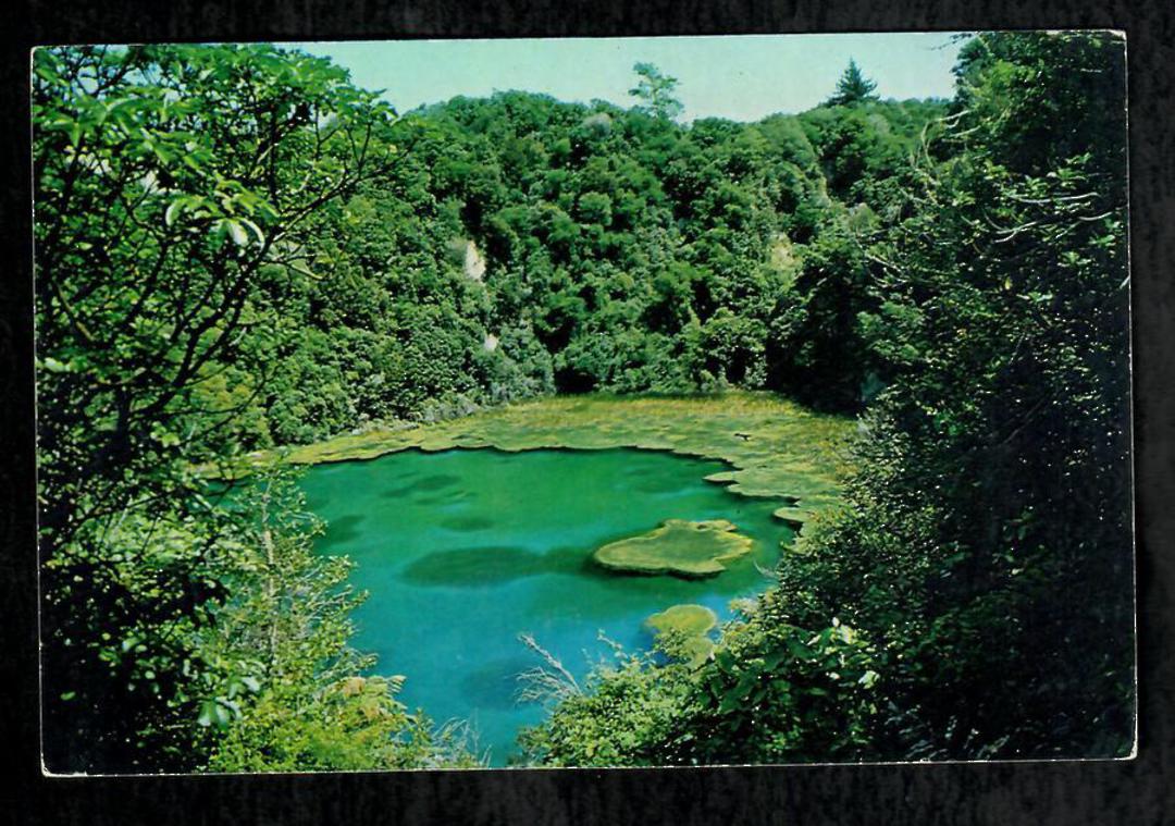 Modern Coloured Postcard by Gladys Goodall of Emerald Lake Waimangu Geyser Valley. - 444478 - Postcard image 0