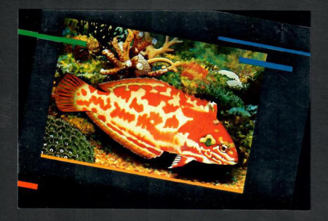 AUSTRALIA 1988 Expo Postcards of Tropical Fish. 5 cards. - 32279 - Postcard image 0