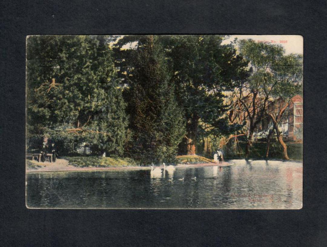 Coloured postcard of Recreation Grounds Nelson. - 46985 - Postcard image 0