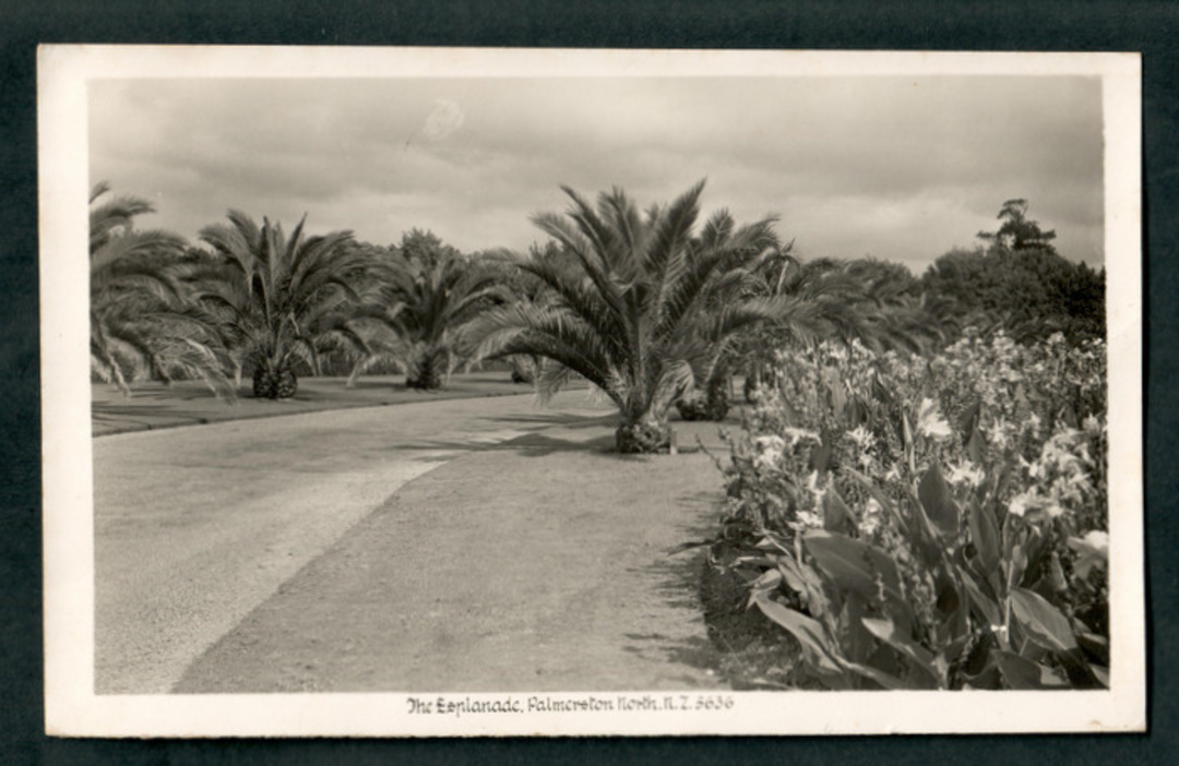 Real Photograph by A B Hurst & Son of The Esplanade Palmerston North. - 47220 - Postcard image 0