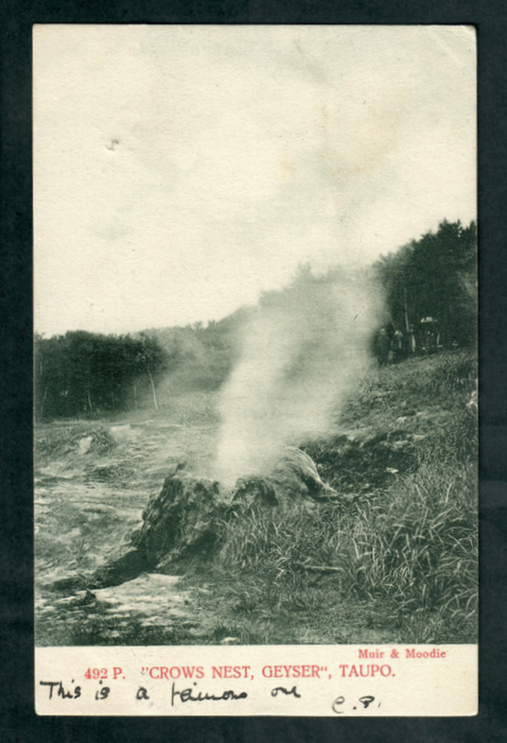 Early Undivided Postcard by Muir & Moodie of Crow's Nest Geyser Taupo. - 46757 - Postcard image 0