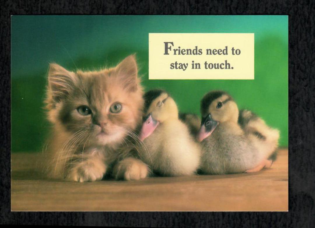 Modern Coloured Postcards of Pets. Four cards Puppies Kittens Ducklings Bunnies. - 444964 - Postcard image 3