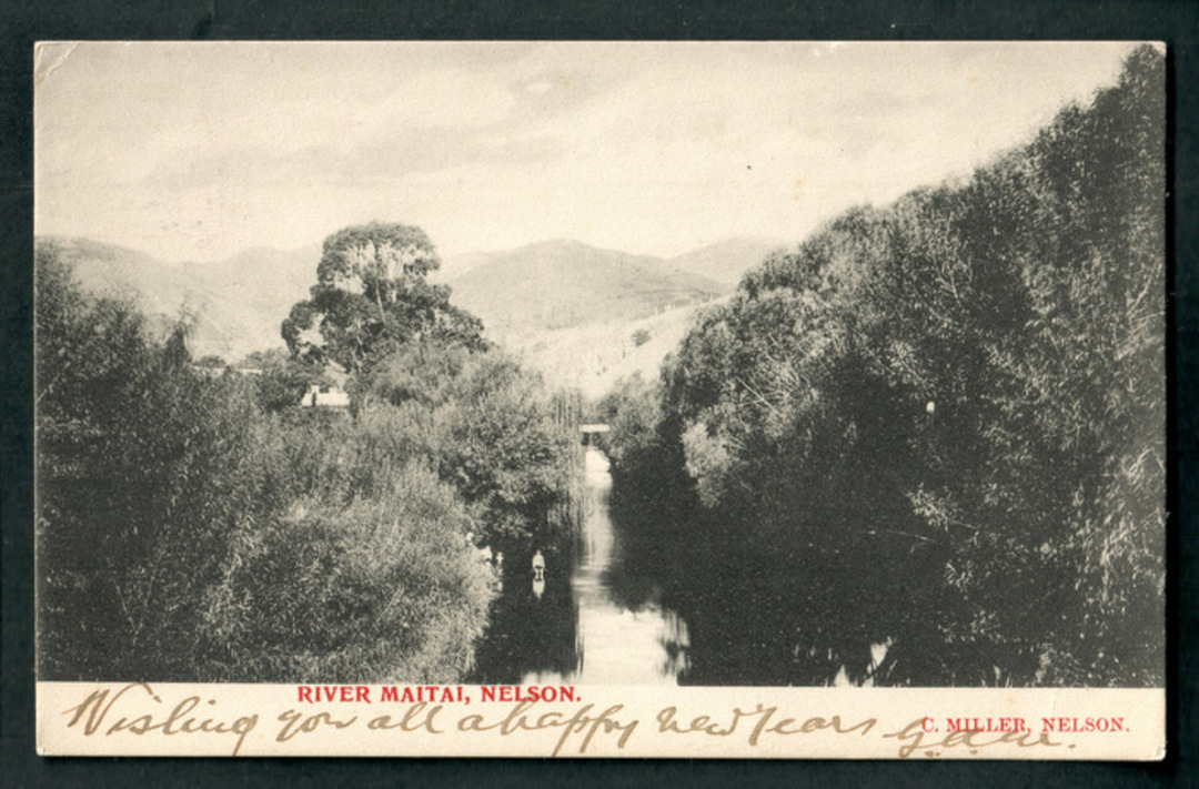 Early Undivided Postcard by C Miler of River Matai Nelson. - 48654 - Postcard image 0