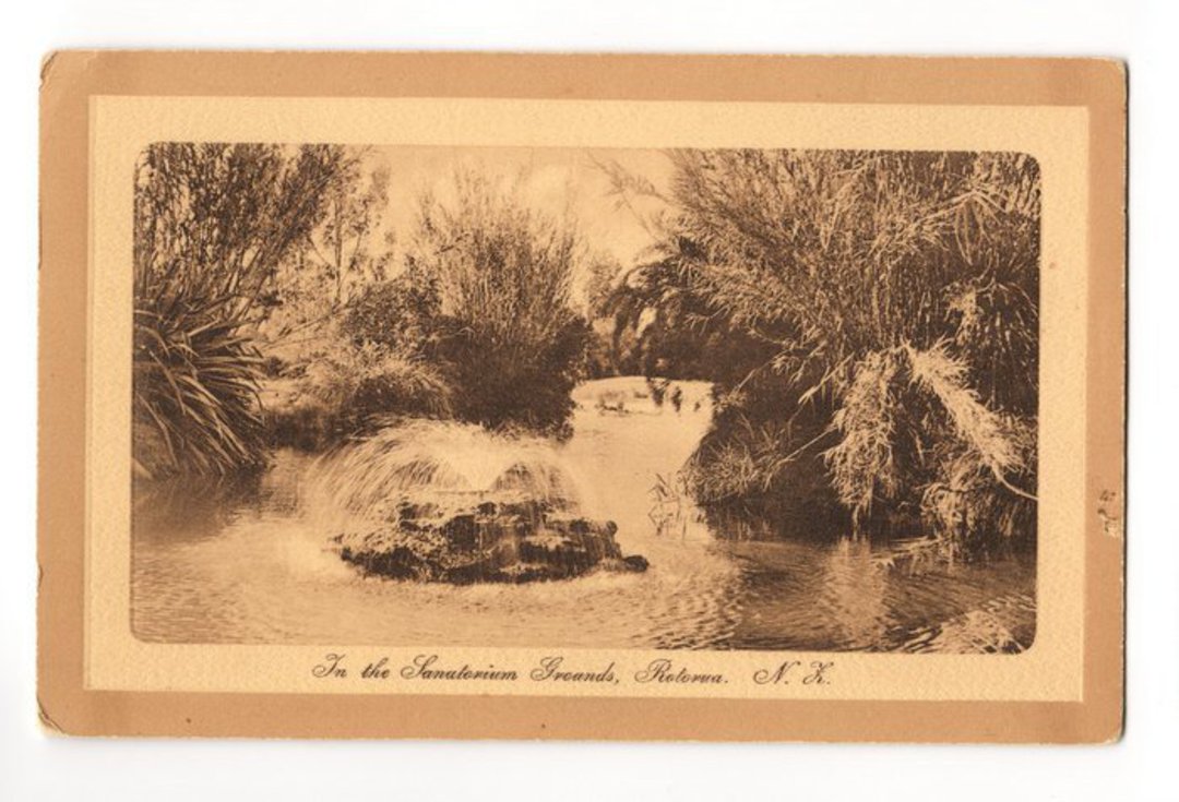 Sepia Postcard (of the lake Edge) in the Sanitorium Grounds Rotorua. - 46165 - Postcard image 0