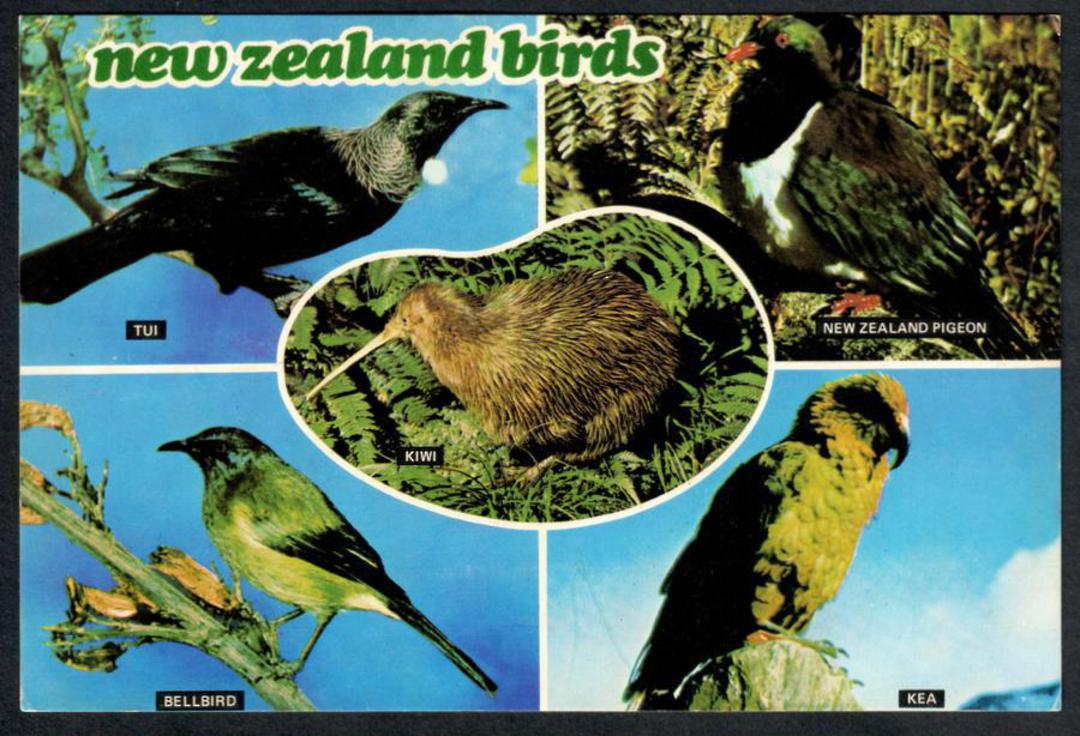 NEW ZEALAND Birds. Modern Coloured Postcard. Montage. - 443530 - Postcard image 0