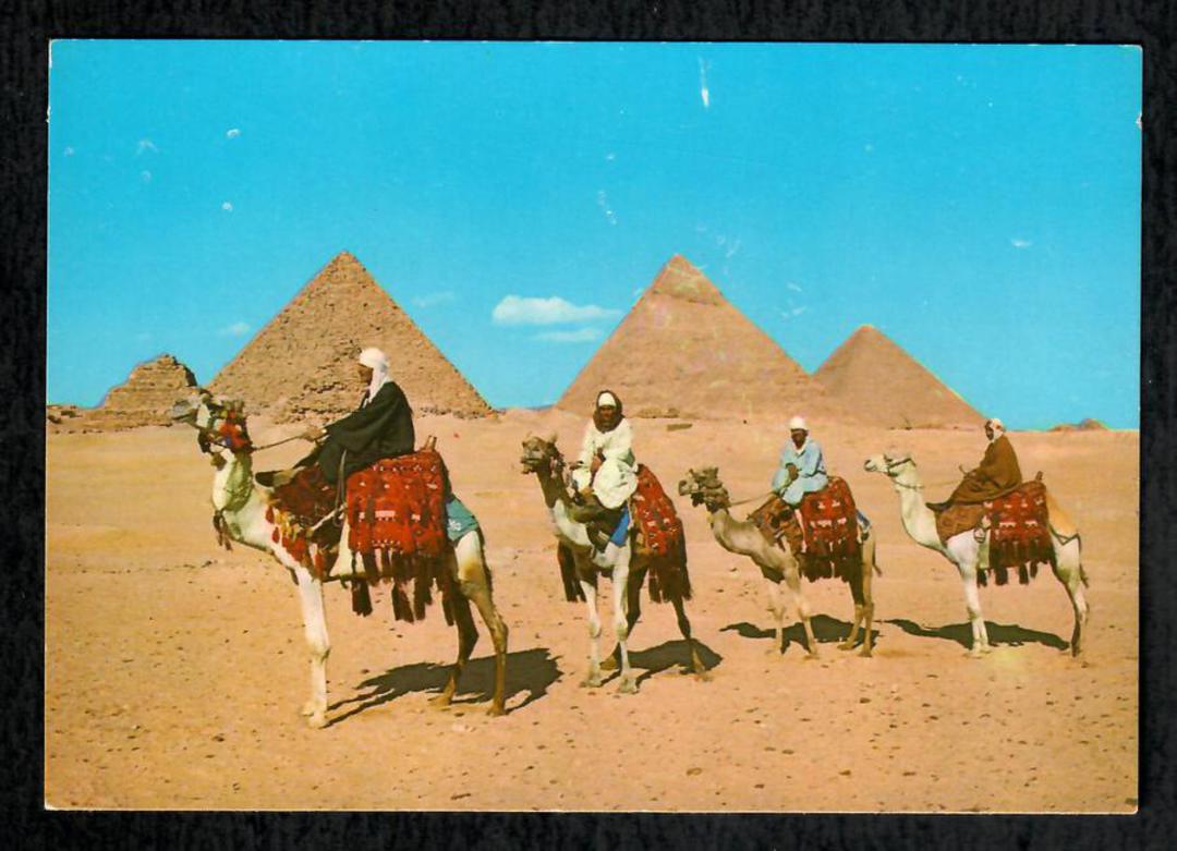 EGYPT Modern Coloured Postcard of Camels at the Pyramids. - 444988 - Postcard image 0