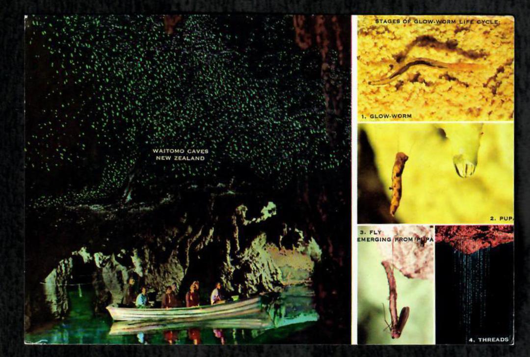 Modern Coloured Postcard by G B Scott. Montage of  Waitomo Caves. - 446402 - Postcard image 0