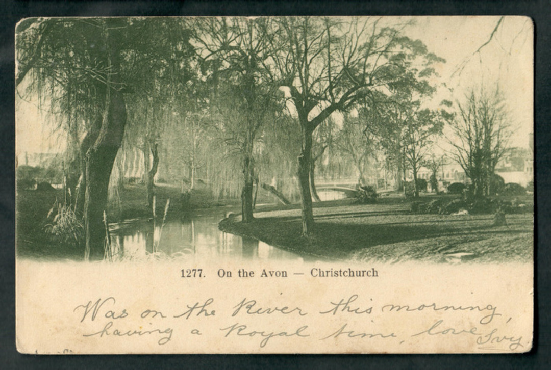 Early Undivided Postcard by Muir & Moodie. On the Avon Christchurch. - 48535 - Postcard image 0