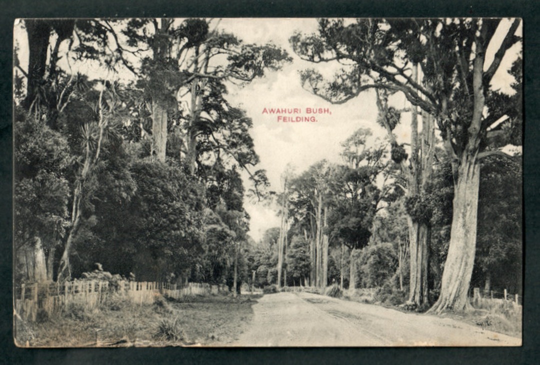 Postcard of Awahuri Bush Feilding. - 47273 - Postcard image 0