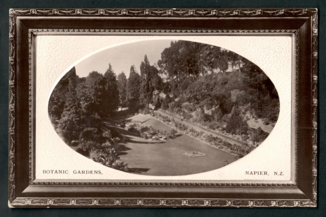 Real Photograph of Botannical Gardens Napier. - 47907 - Postcard image 0