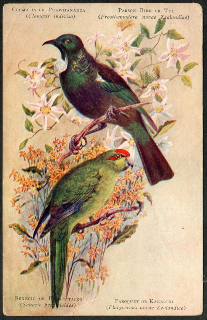 TUI and KAKRIKI New Zealand Birds. Coloured Postcard. - 43525 - Postcard image 0
