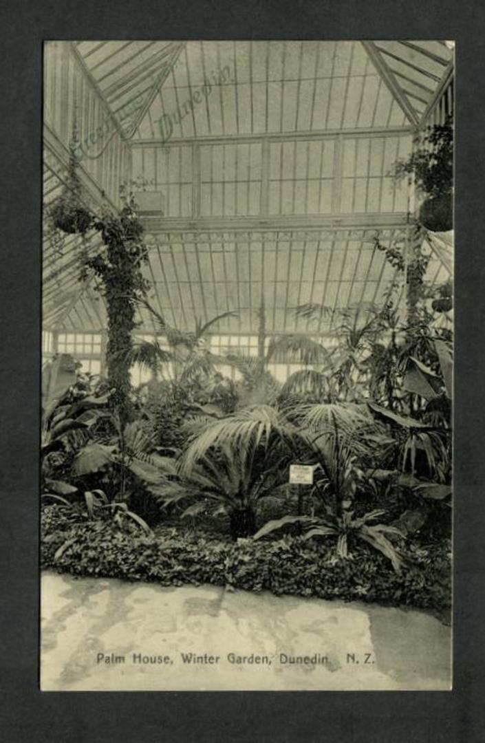 Postcard of Palm House Winter Gardens Dunedin. - 249138 - Postcard image 0
