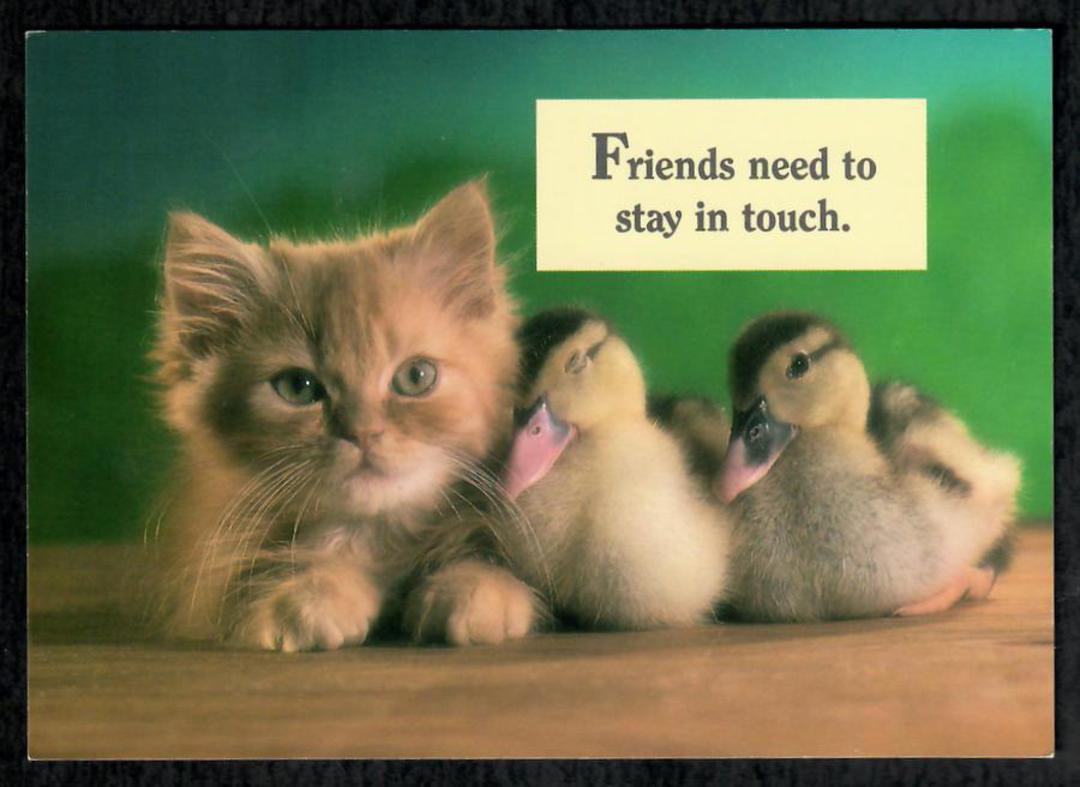 Modern Coloured Postcard of Kitten and Ducklings. - 444881 - Postcard image 0
