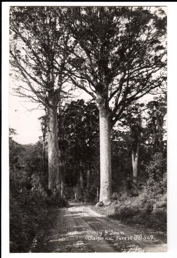 Real Photograph by G E Woolley of Matapouri. - 44784 - image 0