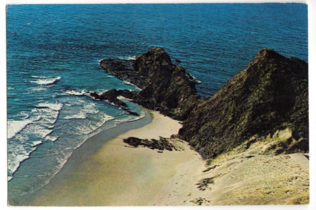 Modern Coloured Postcard by Gladys Goodall of The Spirit's Tree Cape Reinga. - 444581 - Postcard image 0