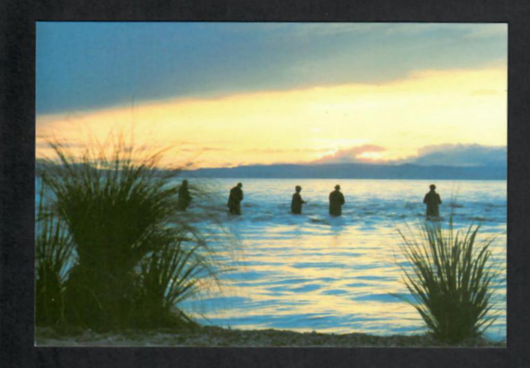 Modern Coloured Postcard of the 'Picket Fence' Waitahanui Stream Lake Taupo. - 444151 - Postcard image 0