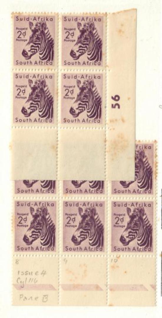 SOUTH AFRICA 1954 Definitive 2d Plum. Block of 4 Plate 56. Block of 6.identified as issue 4 Cylinder 116 Pane B Vertical Rows 8 image 0