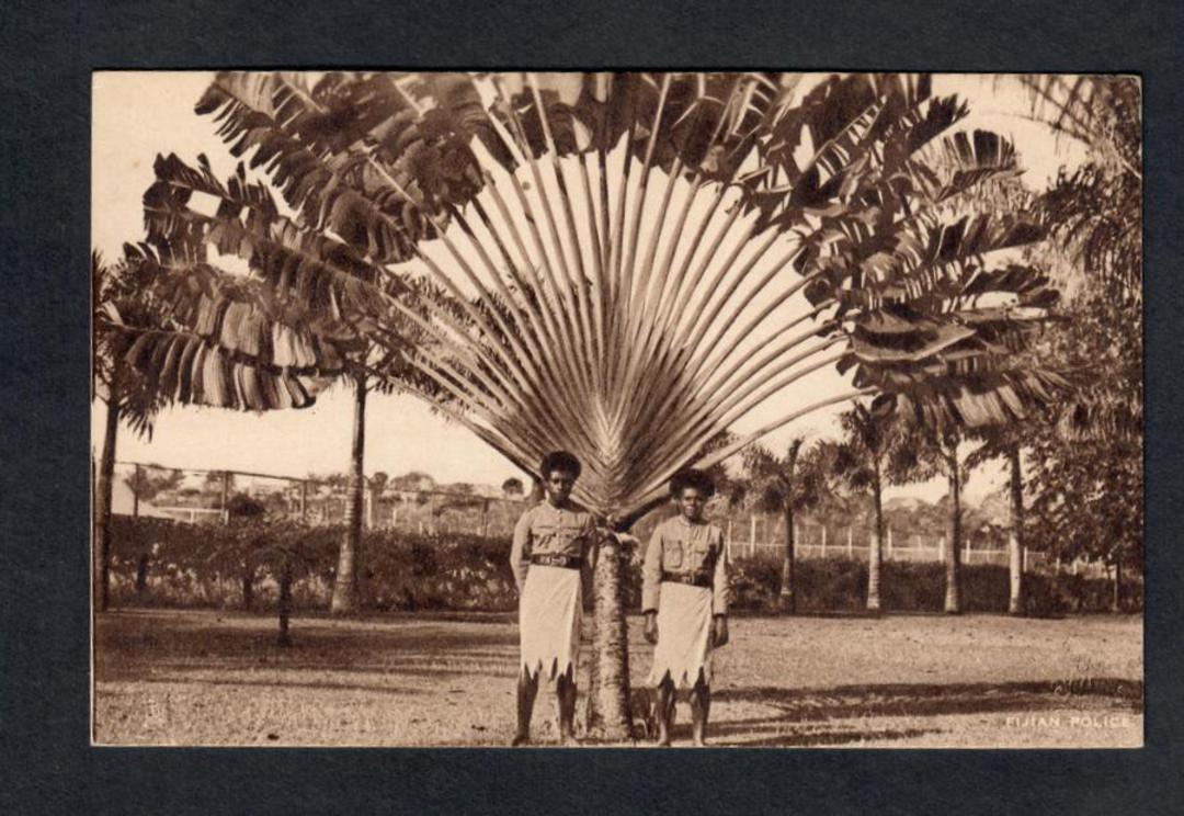 Real Photograph. A Travellers Palm at the Botannical Gardens Suva. - 243843 - Postcard image 0