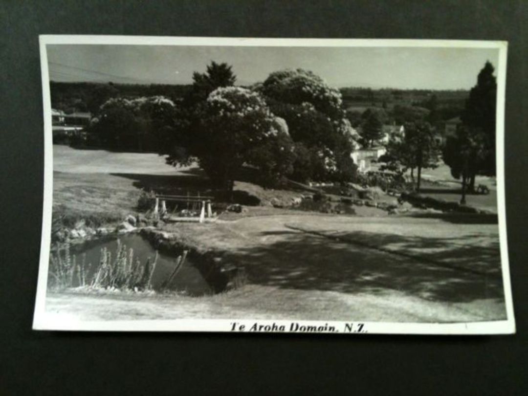 Real Photograph by N S Seaward of Te Aroha Domain. #46532 - 46531 - Postcard image 0