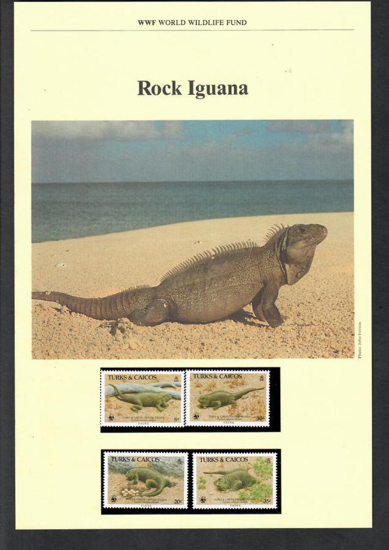 TURKS & CAICOS ISLANDS 1986 World Wildlife Fund. Rock Iguana. Set of 4 in mint never hinged and on first day covers with 6 pages image 0