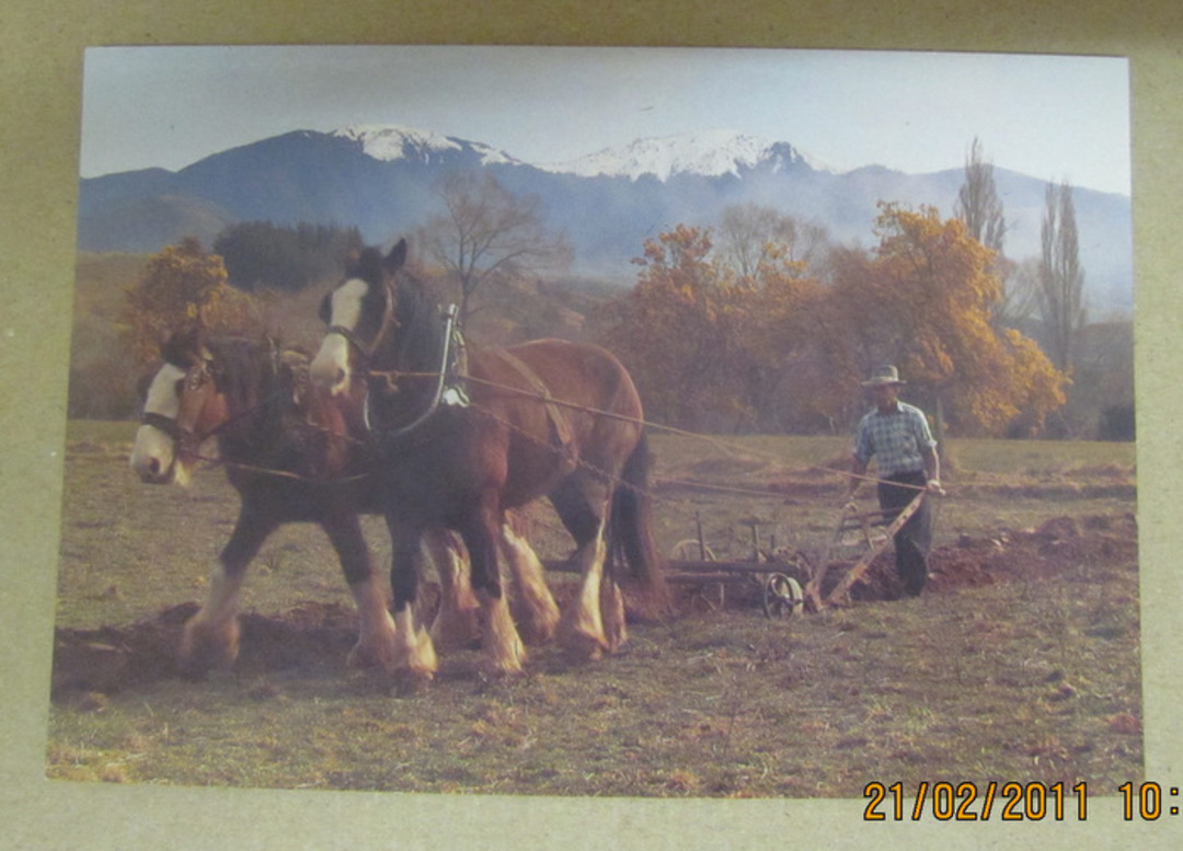 Modern Coloured Postcard by Gladys Goodall of Clydesdale ploughing. - 444208 - Postcard image 0