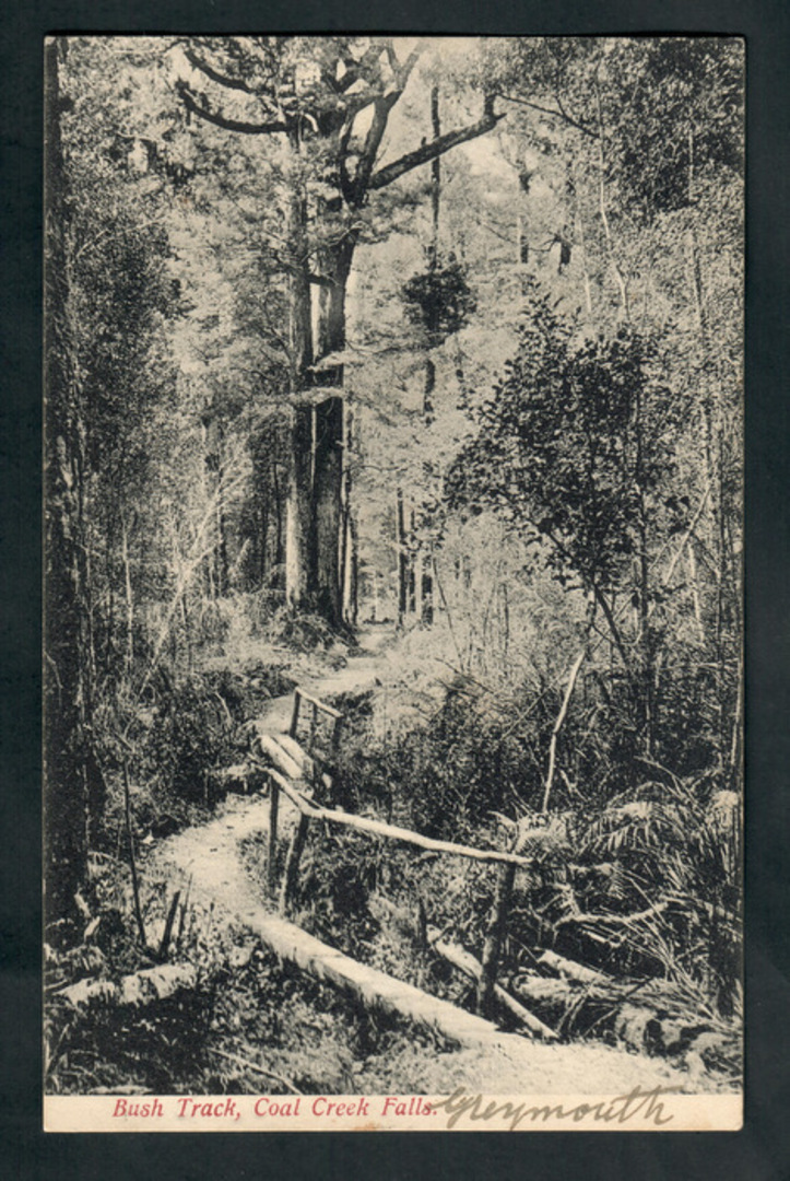 Postcard of Bush Track Coal Creek Falls Greymouth. - 248776 - Postcard image 0