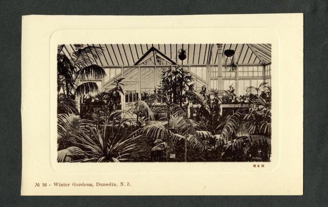 Real Photograph by Muir & Moodie of Winter Gardens Dunedin. - 249119 - Postcard image 0