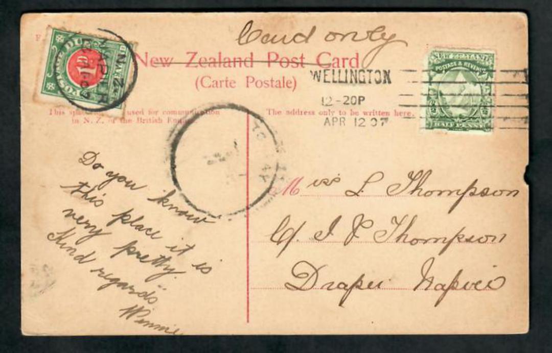NEW ZEALAND 1907 Postcard FT series Botanical Gardens Wgtn. Posted Wgtn 12/4/07. To Pay 1d Postage due tied full Napier A class image 0