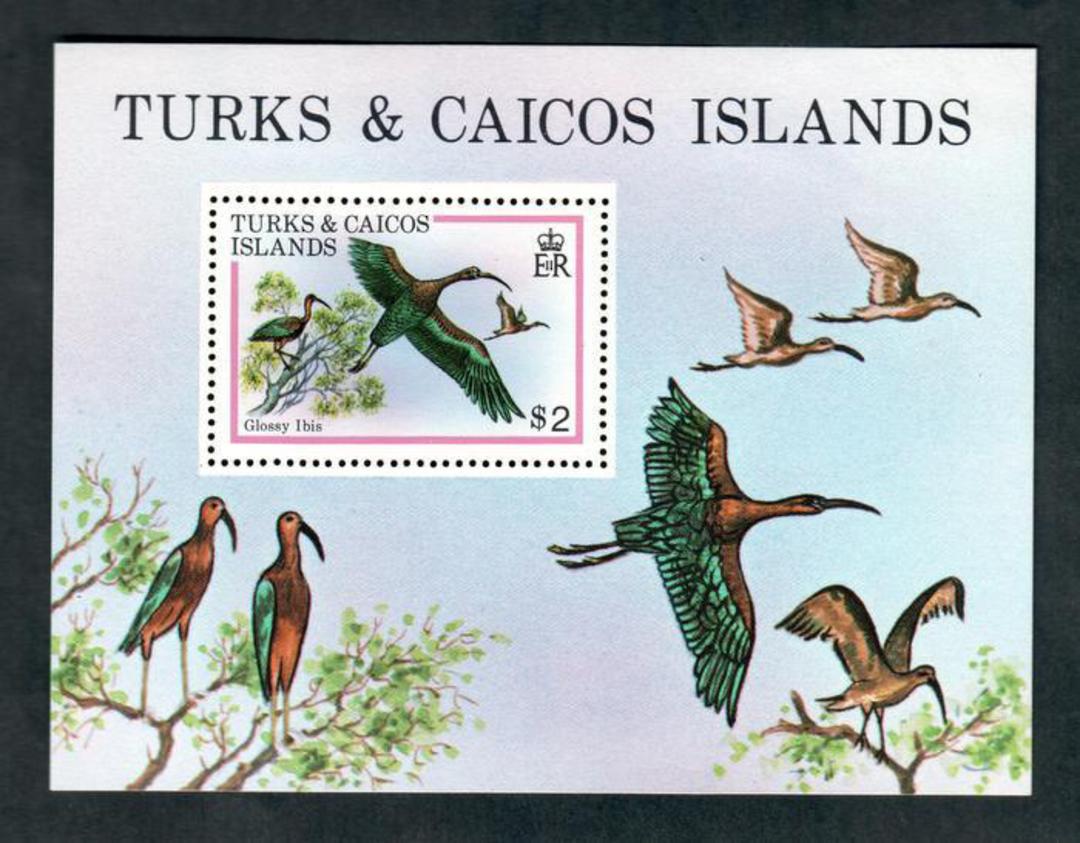 TURKS & CAICOS ISLANDS 1980 Birds. Miniature sheet. - 50219 - Mint image 0